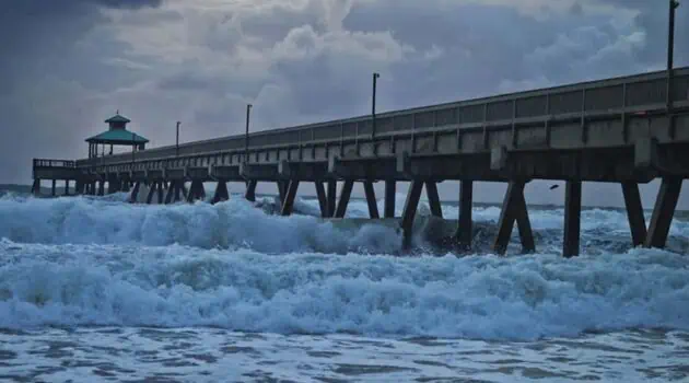 10 Best Lines for Surf Fishing