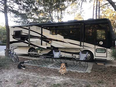 15 Must Have Dog RV Accessories 2026
