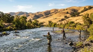 California Fishing License - Complete FAQ & Guide