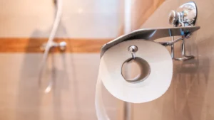 Can You Poop In An RV Toilet