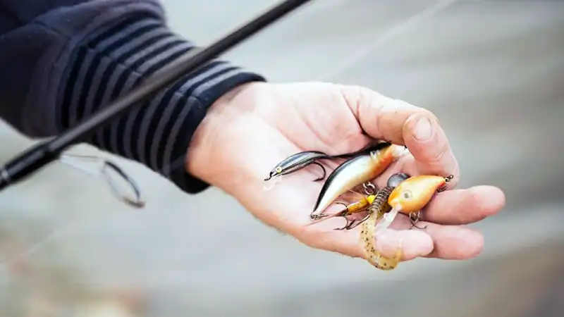 Best Lures For Inshore Saltwater Fishing