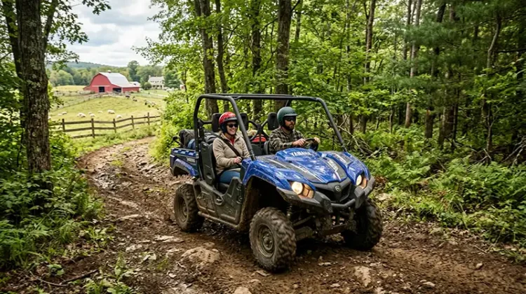 Why Is UTV Insurance So High?
