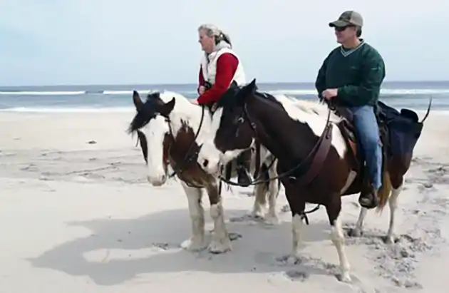 Assateague State ParkAssateague Island National Seashore Maryland