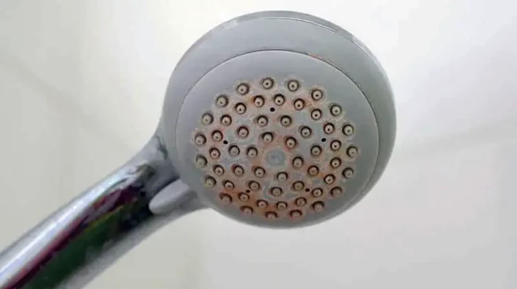 4 Proven Truths About Hard Water on RV Plumbing