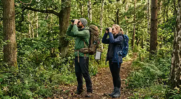 Man and wife Bird watching along wooded trail