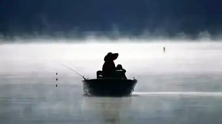 Can You Buy A Fishing License At Academy?