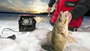Easy Guide to Using a Flasher for Ice Fishing