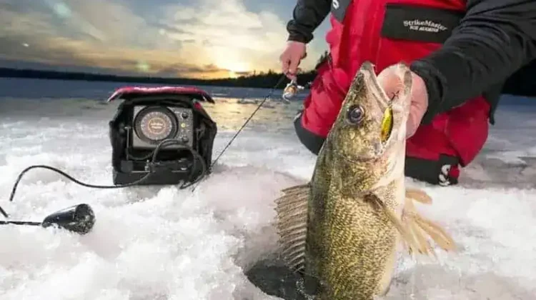 Easy Guide to Using a Flasher for Ice Fishing