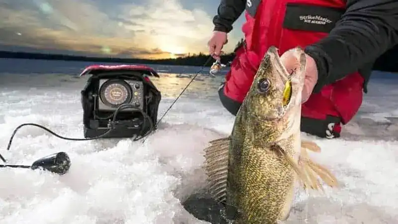 Easy Guide to Using a Flasher for Ice Fishing