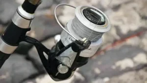 The Best Spinning Reels: Reviewed & Water Tested