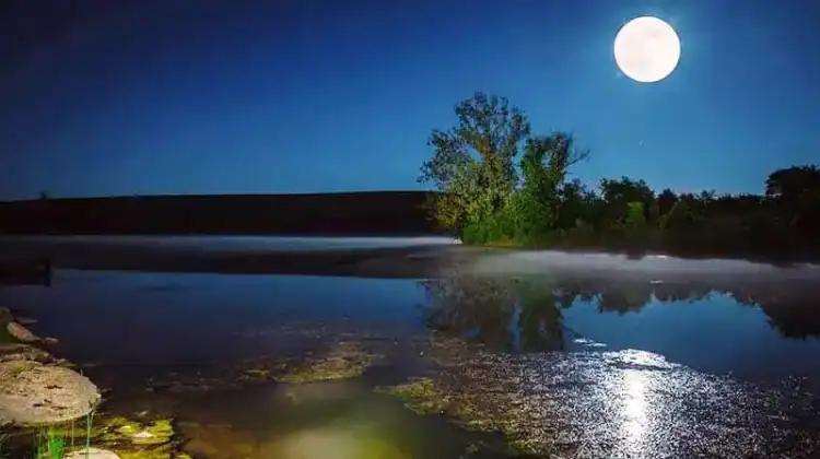 Does Moon Phase Affect Freshwater Fishing?