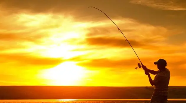 22 Fishing License Questions and Requirements