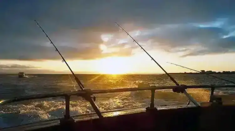 What Pound Test Should I Use For Saltwater Fishing?