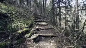 How Long Does It Take to Hike the Appalachian Trail?