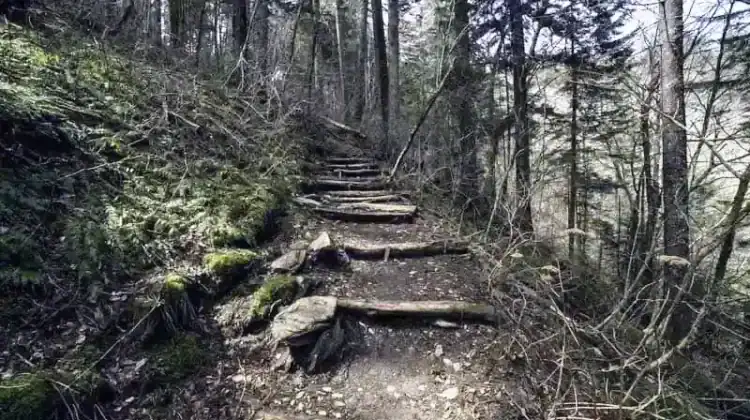 How Long Does It Take to Hike the Appalachian Trail?