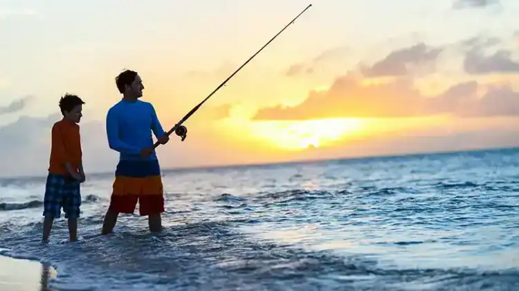 Surf Fishing Rigs: The Ultimate Guide