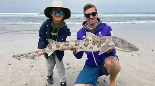 Choosing the Ideal Surf Fishing Rod