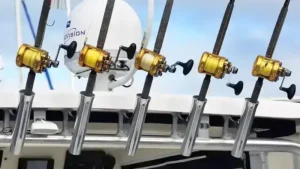 Todays Best Fishing Reel Brands