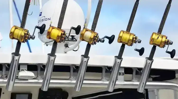 Todays Best Fishing Reel Brands