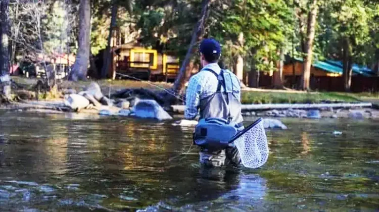 The 10 Best Fishing Waders