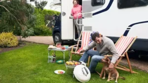 15 Must Have Dog RV Accessories