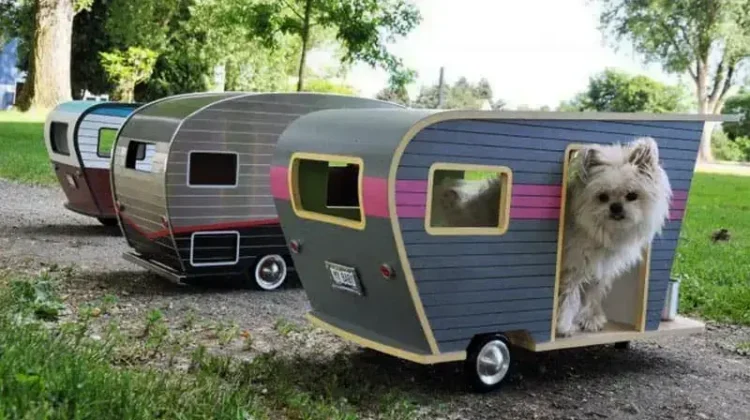 Is It Safe To Leave A Pet In An RV?