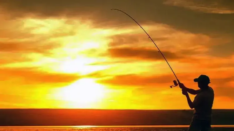 22 Fishing License Questions and Requirements