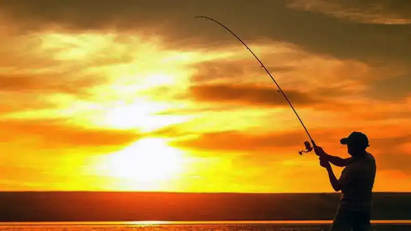 22 Fishing License Questions and Requirements
