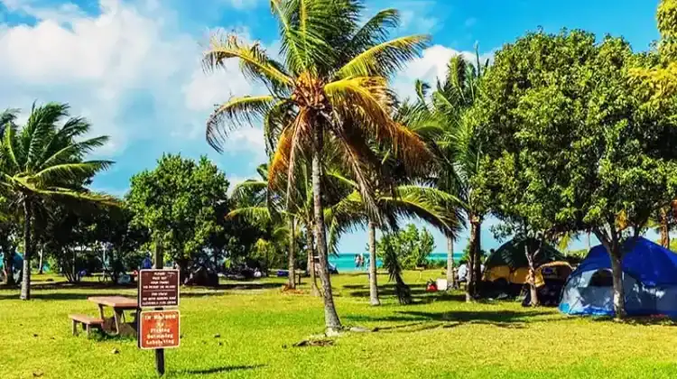 20 Best Florida Campgrounds