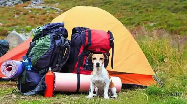 Pomo Campgrounds