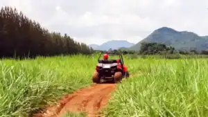 What Is the Most Reliable UTV on the Market?