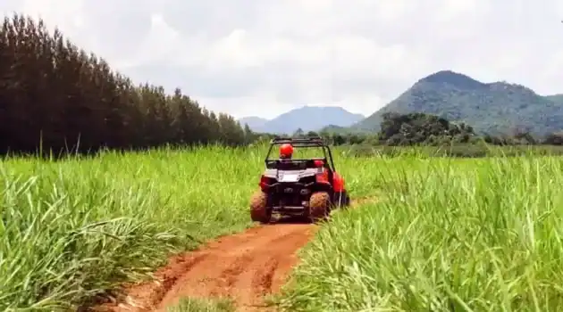 What Is the Most Reliable UTV on the Market?