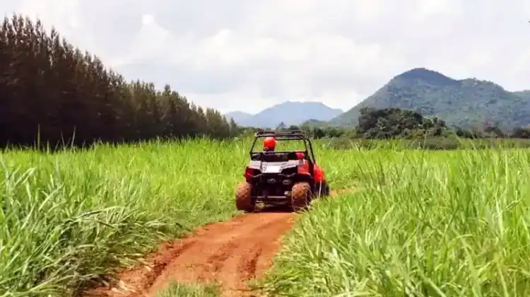 What Is the Most Reliable UTV on the Market?