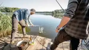 The Best Closed Face Fishing Reel