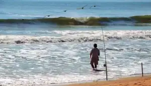 Tips for Mastering the Art of Surf Fishing