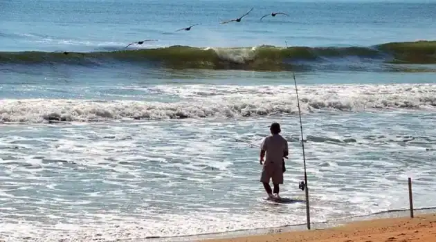 Tips for Mastering the Art of Surf Fishing