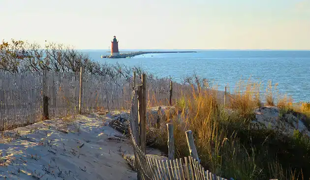 Cape Henlopen State Park Delaware