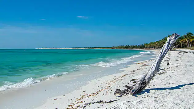 Cayo Costa State Park Florida