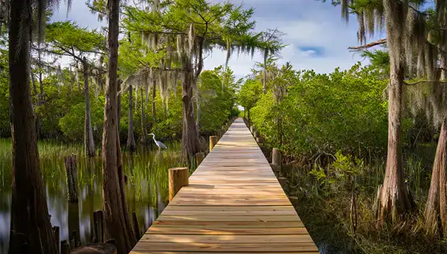 Gamble Rogers Memorial State Recreation Area Florida