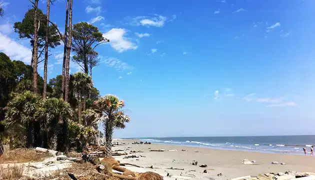 Hunting Island State Park South Carolina