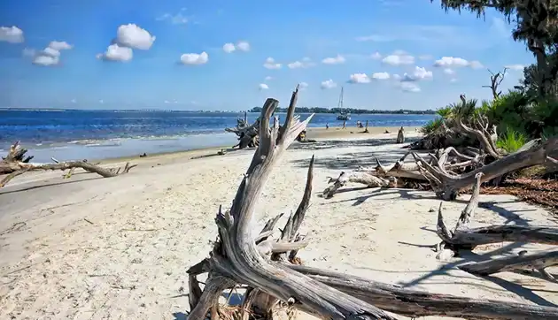 Jekyll Island Campground Georgia