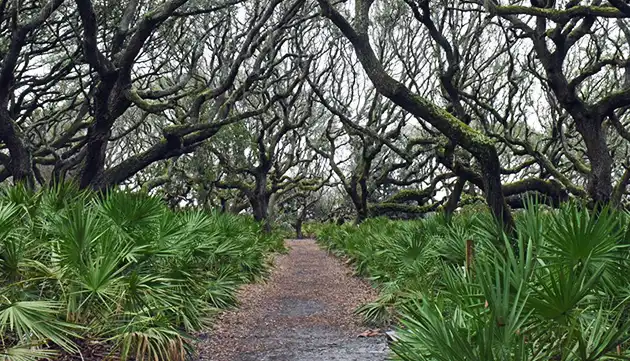 Sea Camp Campground Georgia