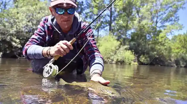 Beginner's Guide to Trout Fishing