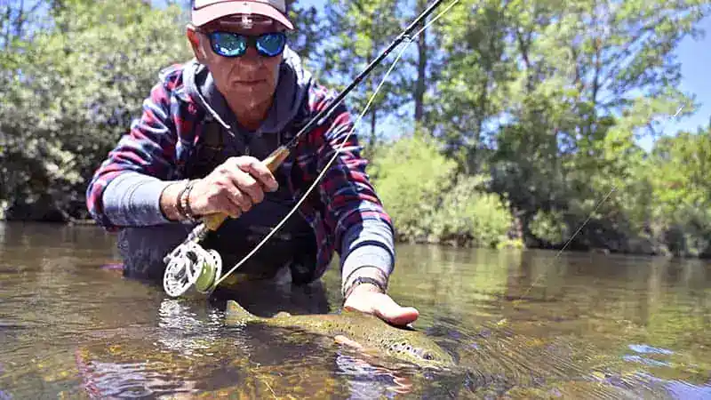 Beginner's Guide to Trout Fishing