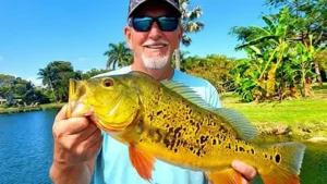 Deep Dive review into the Piscifun Carbon X II Reel & Carbon R1 Rod