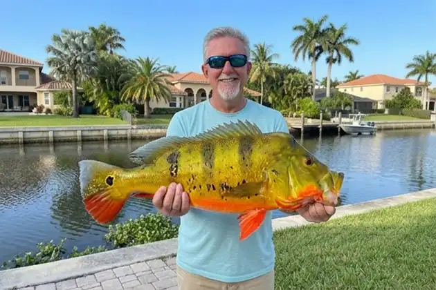 pea in the miami canal