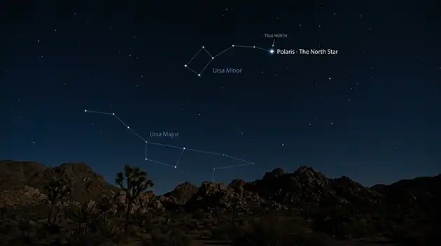 Ursa Minor- The Little Bear
